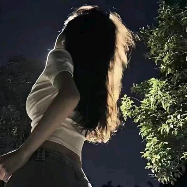 玥☽*̣̩⋆̩