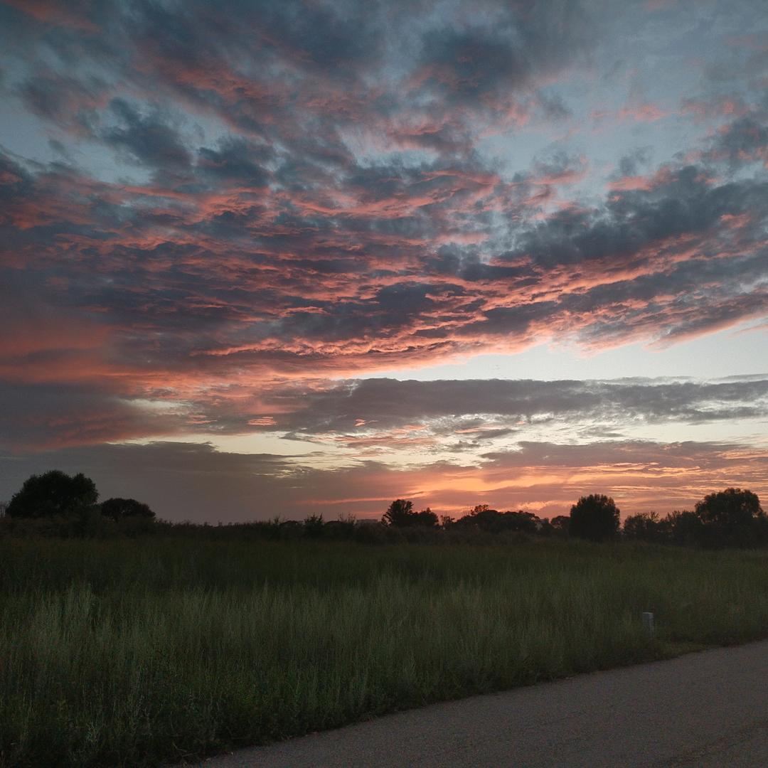 :🍃᭙ꪖⅈττⅈꪀᧁ🚴