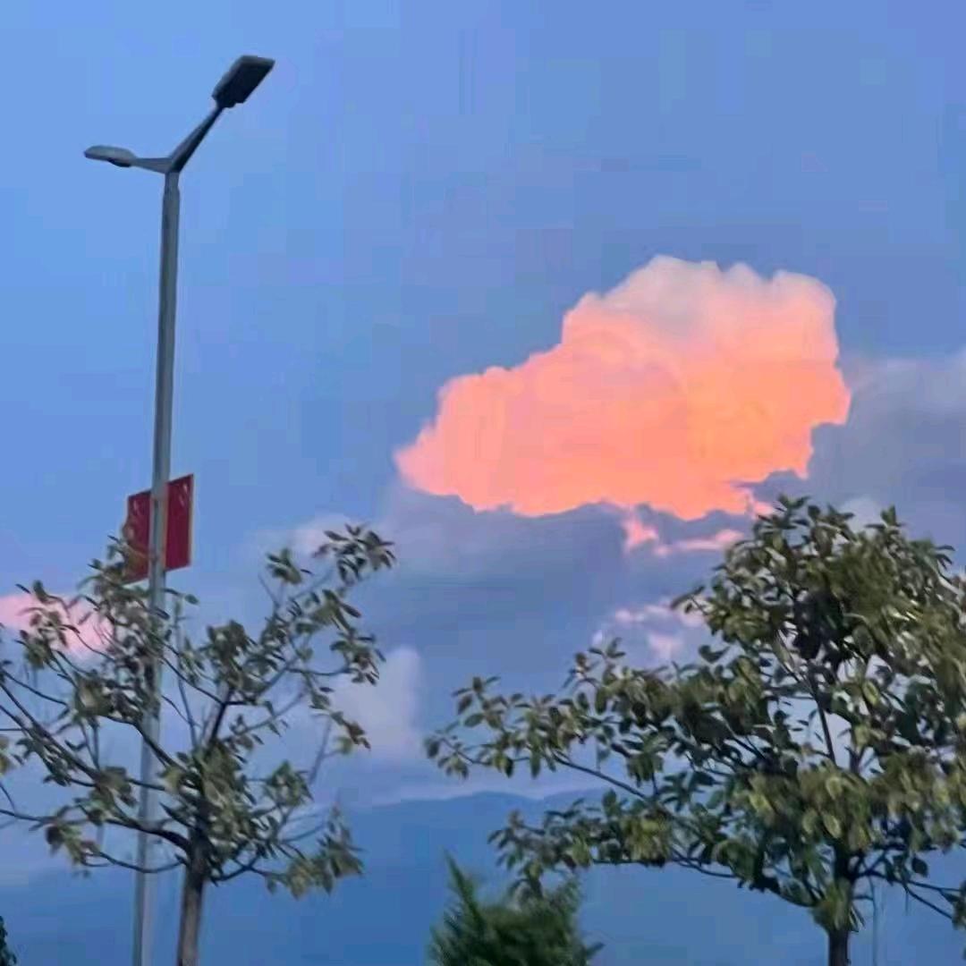 奈何明月照沟渠🍃