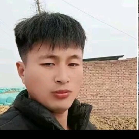 姜鹏，山西豆渣，牧草供应