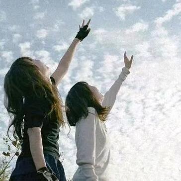 🌹🌹🌹🌹🌹🌹