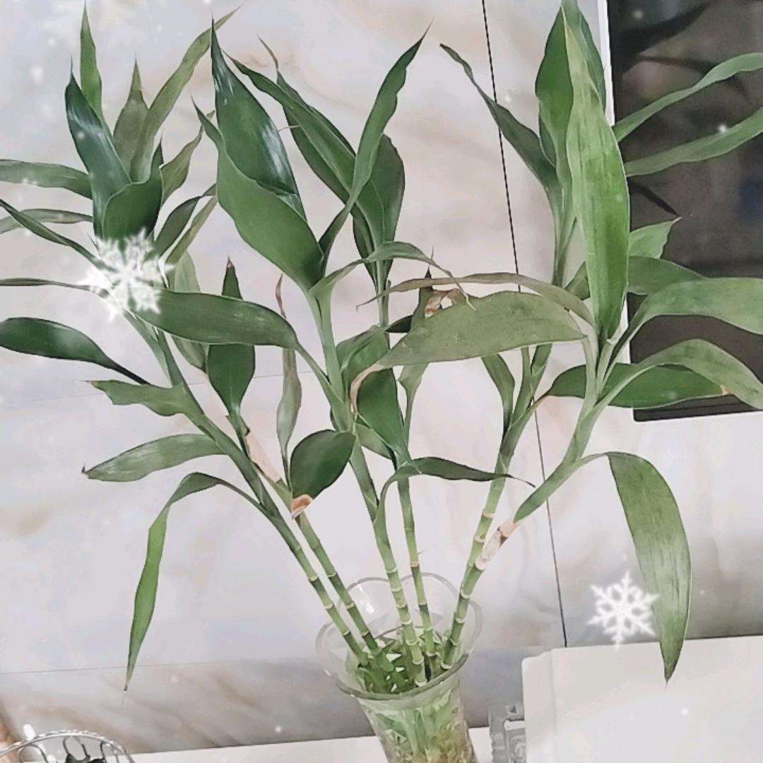 ∝H&秋乜秋女装