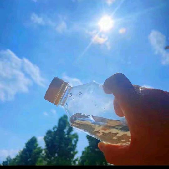 大雷说百草