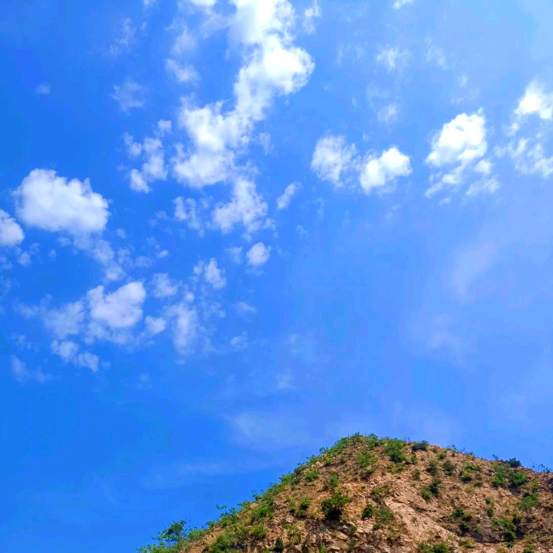坦然