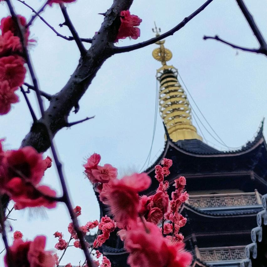 @人生得意须尽欢