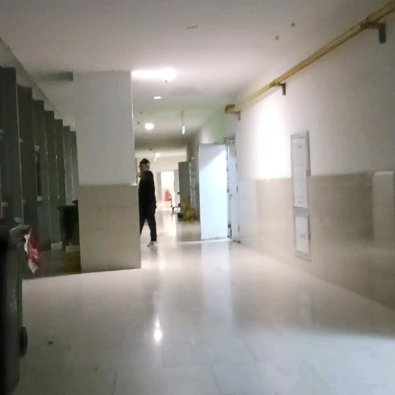 情无伤爱头像