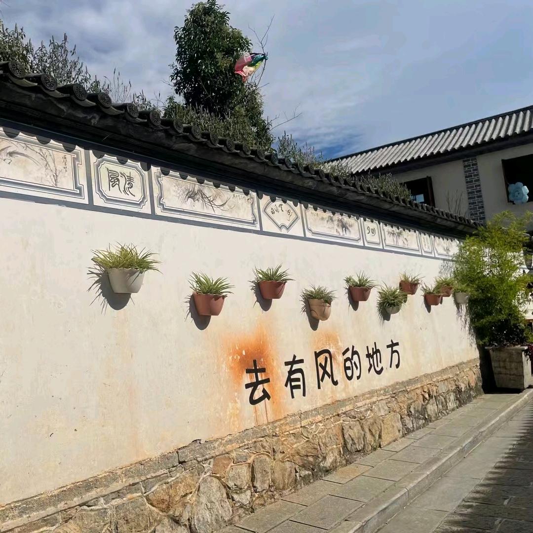 叶白*