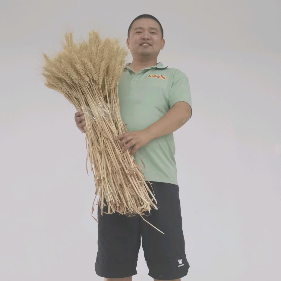 《农三甲》大地种业