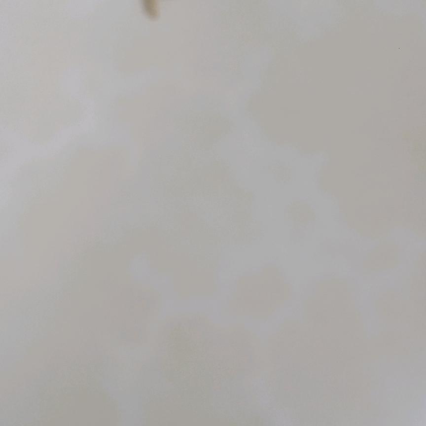 青春不洅荏悻
