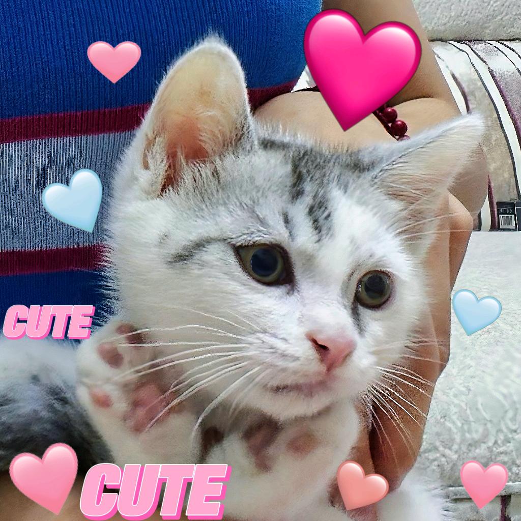 🌈霸总汐汐🌈