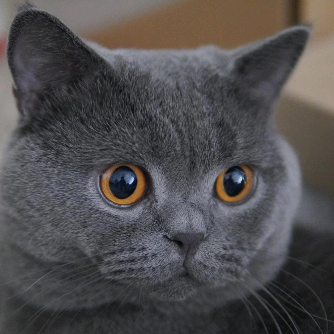 困