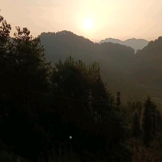 只有劳累奔波才有收获