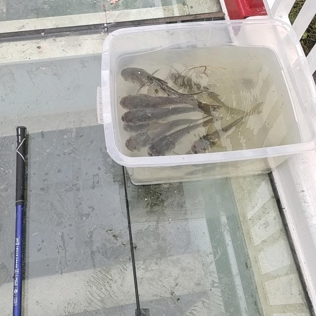 崔百亿