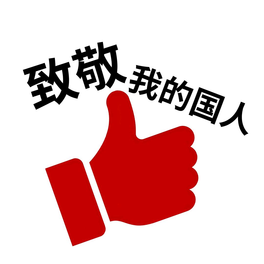 致敬我的国人