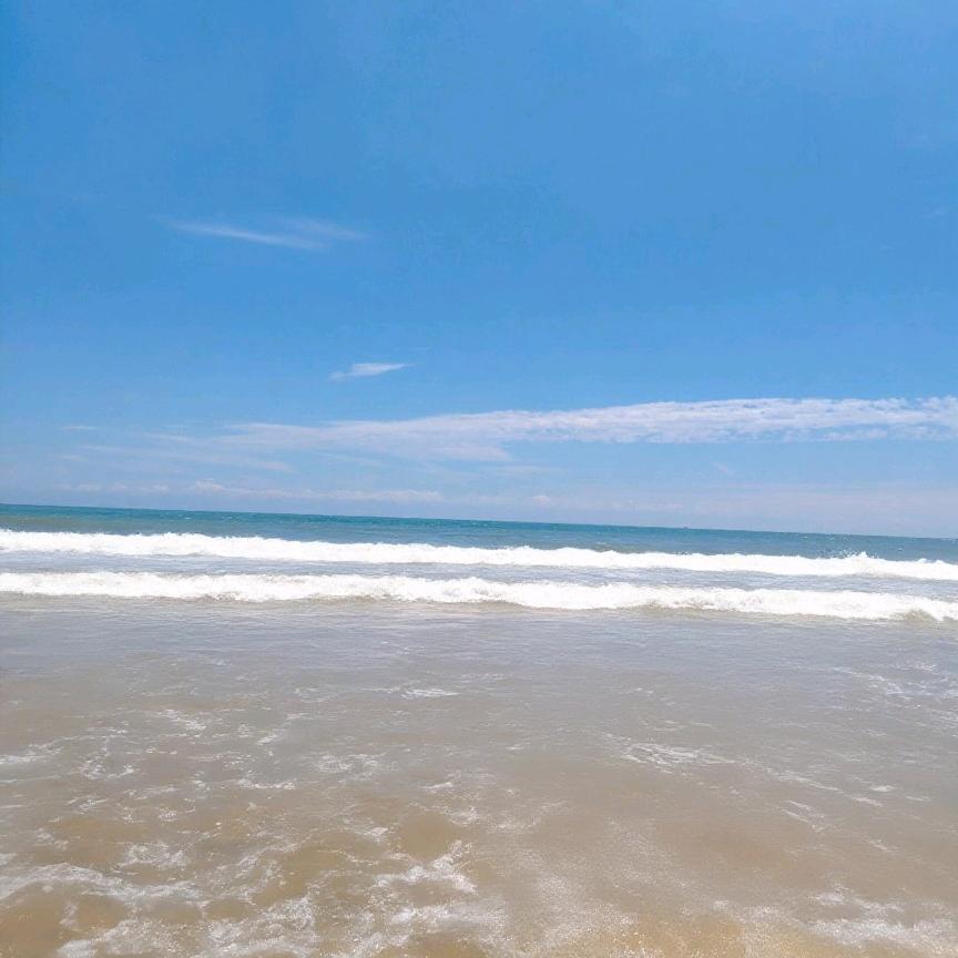 ໑ຼₒ₂₅ღ兜兜有米