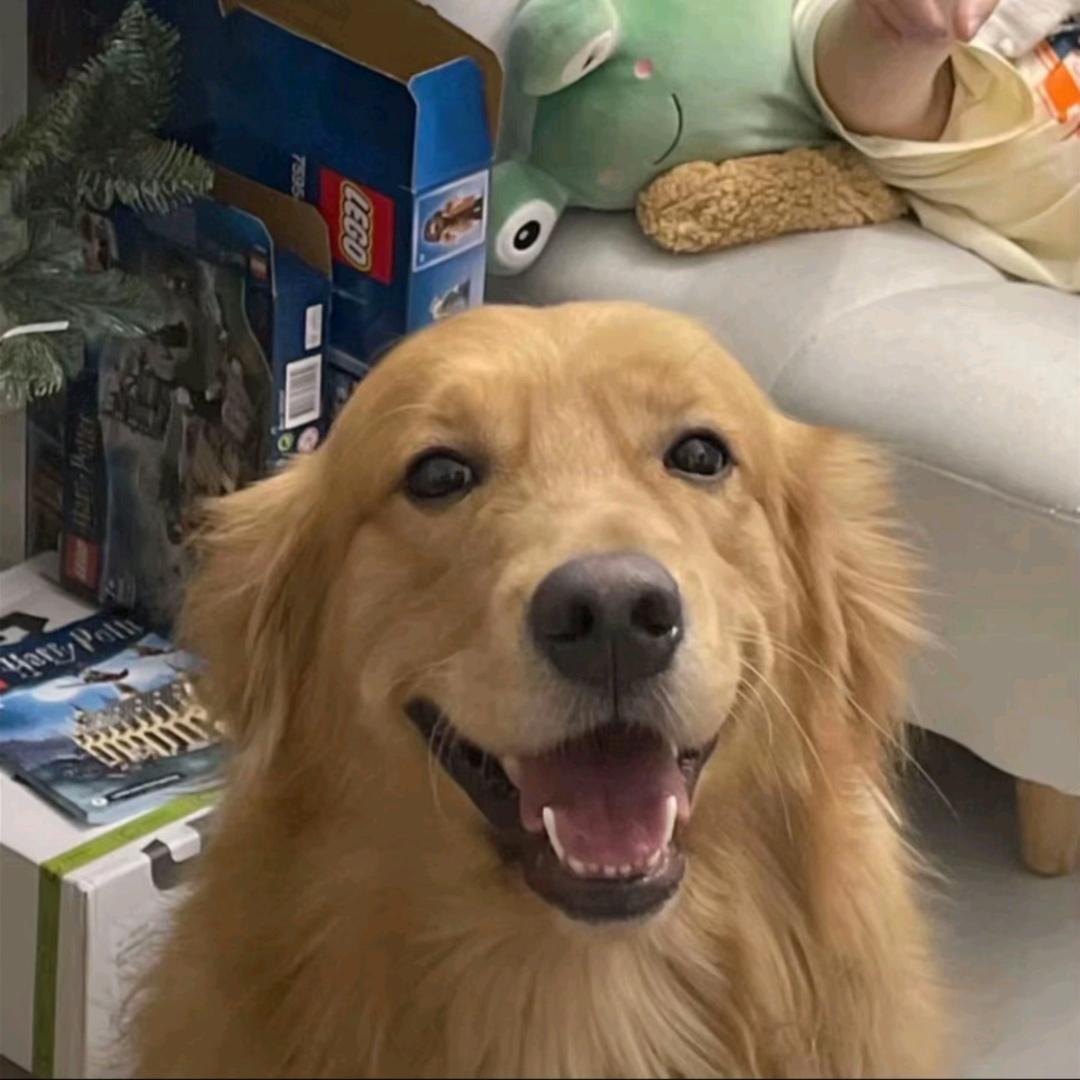 我爱吃汉堡