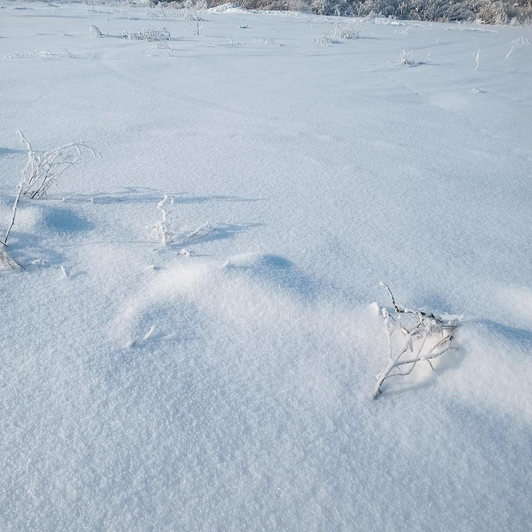 一生一世伴人生