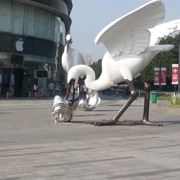 卖飞哥