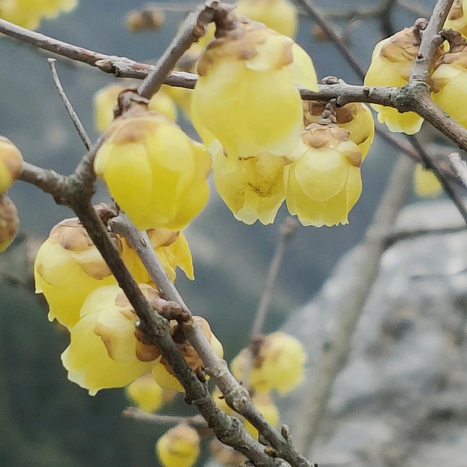 月月爱生活