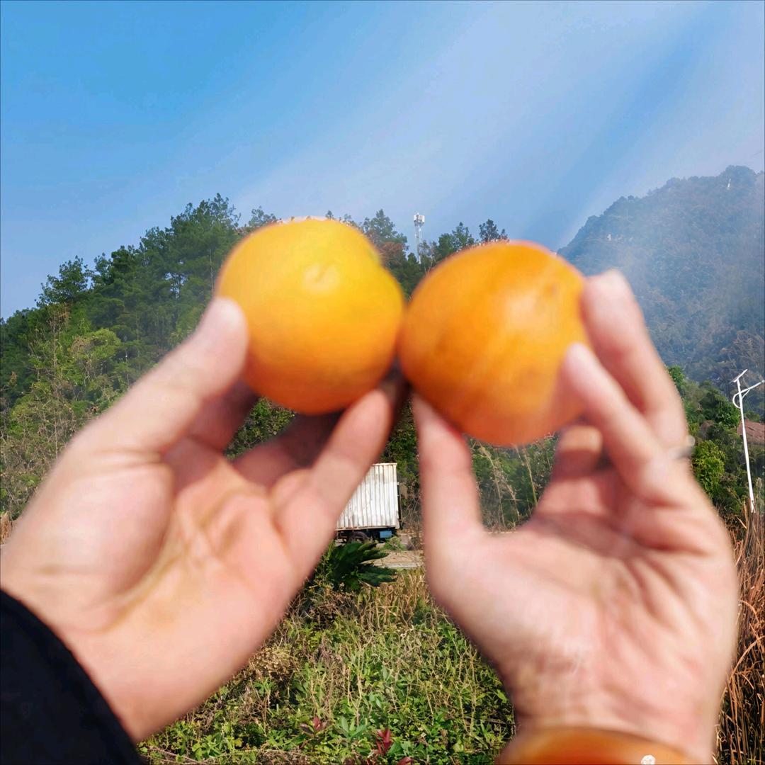 重庆武隆阿波