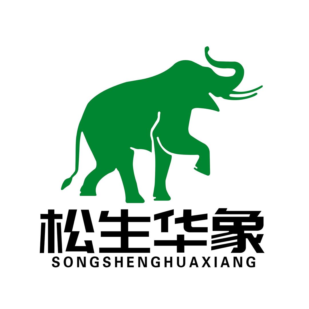松生华象