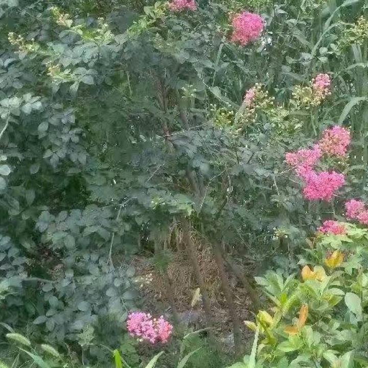 开开心心就好