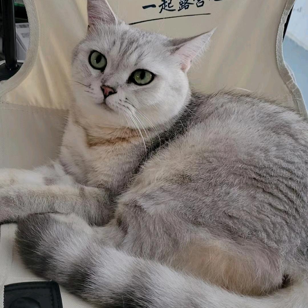 简单一点