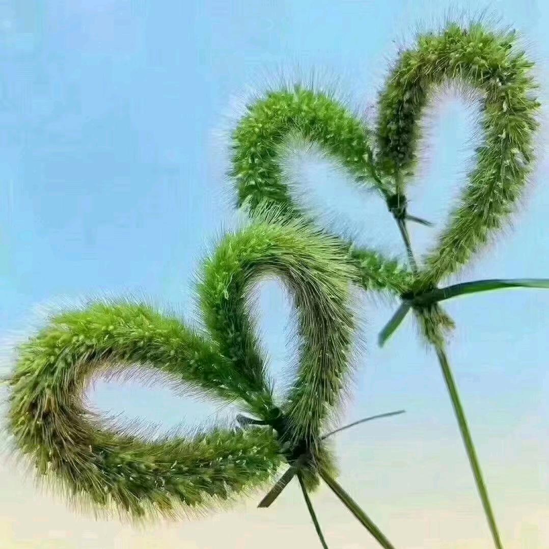 西安砂舞
