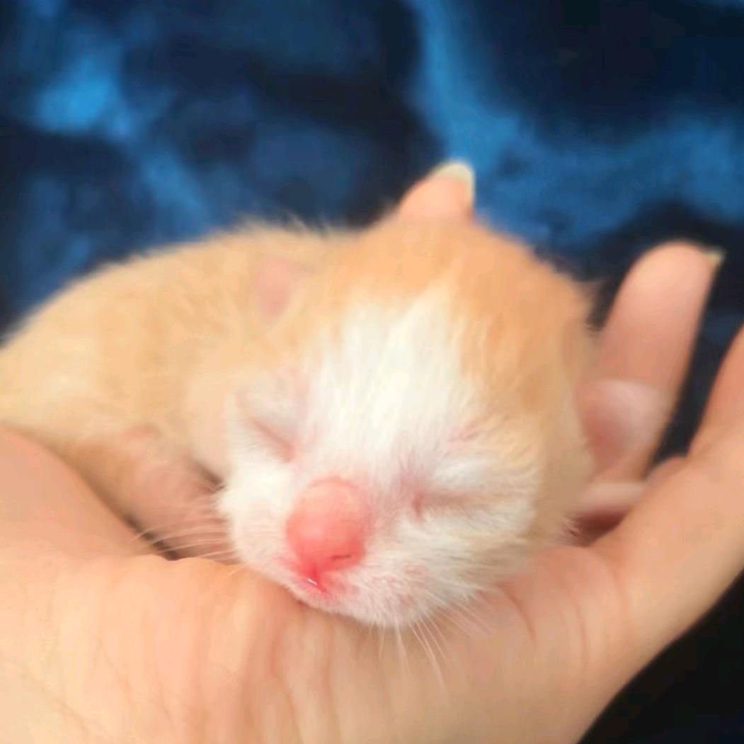 爱果者qds😄😄