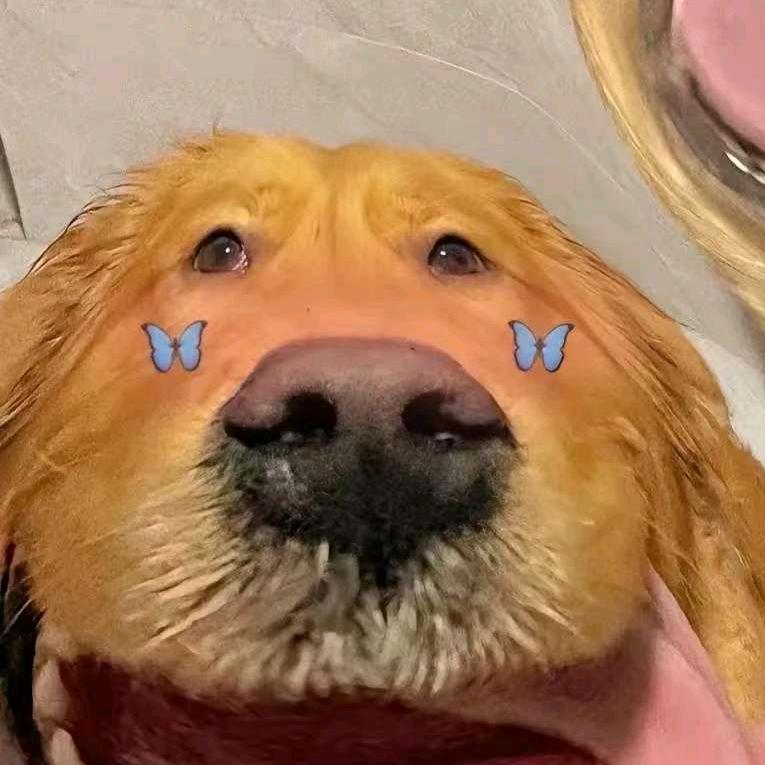 鄙人言意