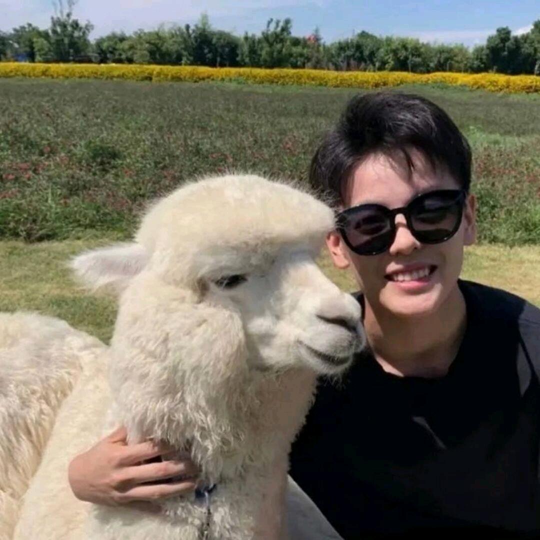 棱宇