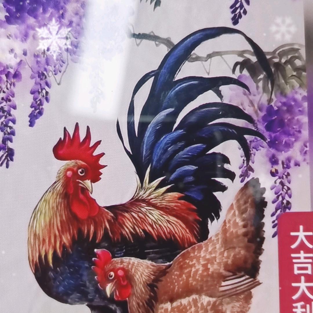 几你太美