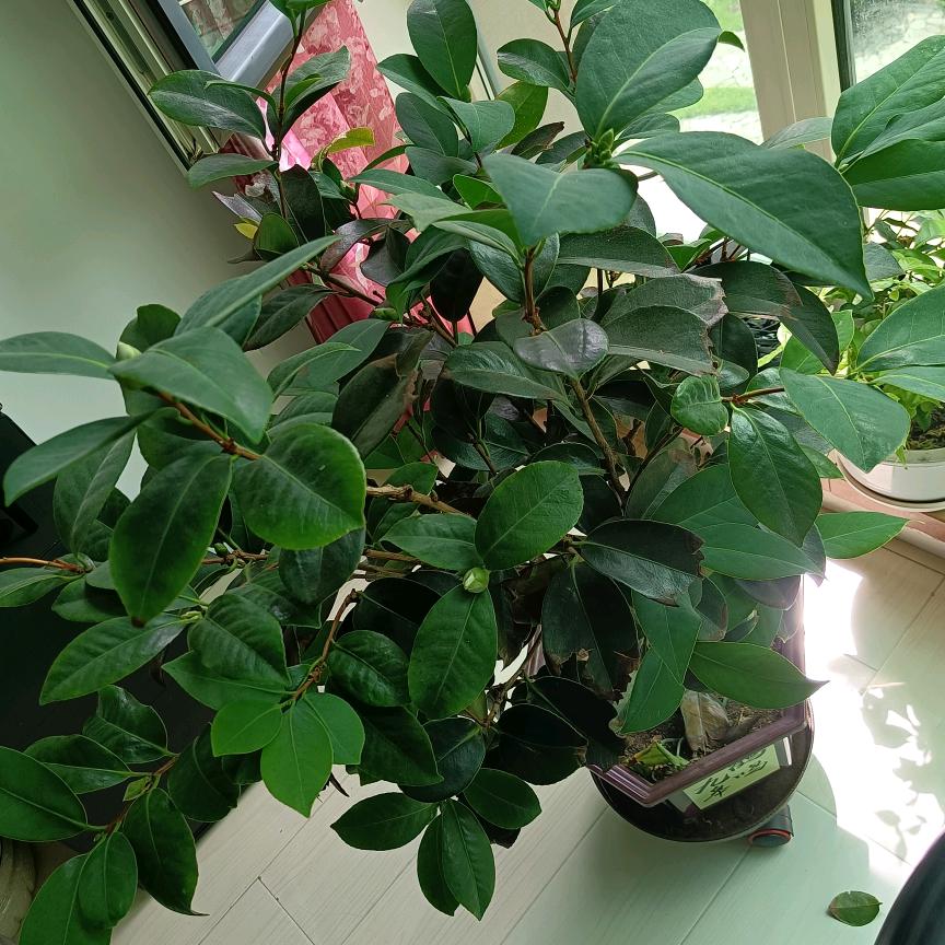 开开心心每一天