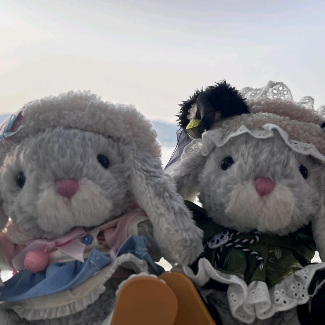 哩啦🦄La licorne