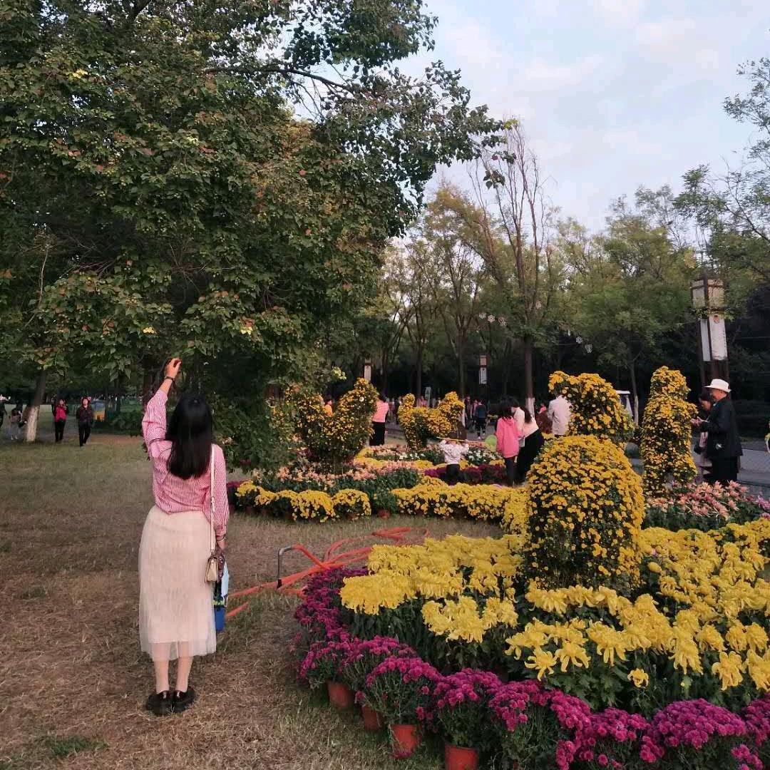 柠檬果儿
