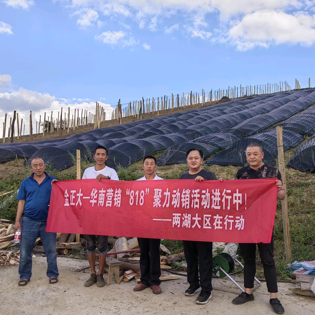 药材蔬果-杨老师（金正大）