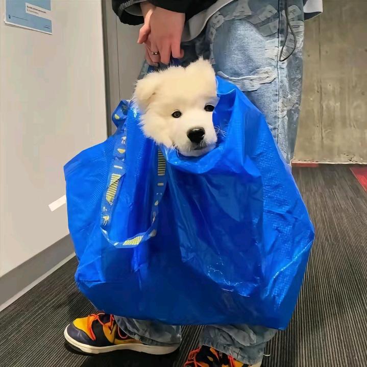 宇宙无敌超级暴龙战士