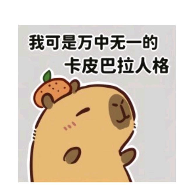 出逃的卡皮巴拉