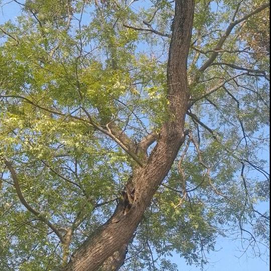 安阳地区光伏发电，储能开发，省电还赚钱！