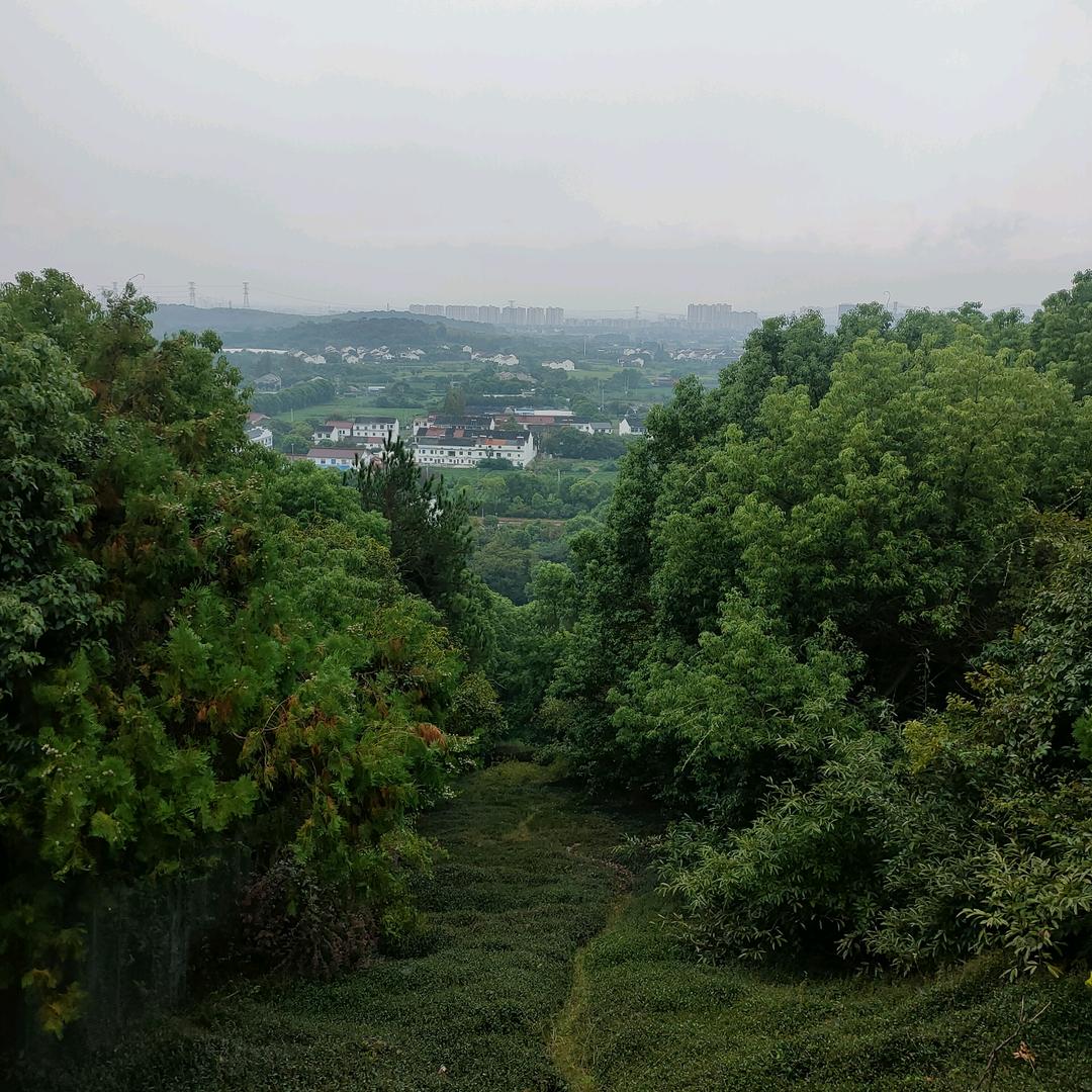 风雨