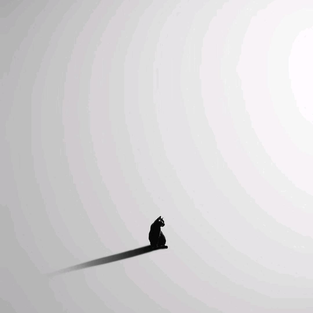 W⁶