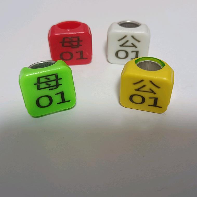 赛鸽私人环定制二店