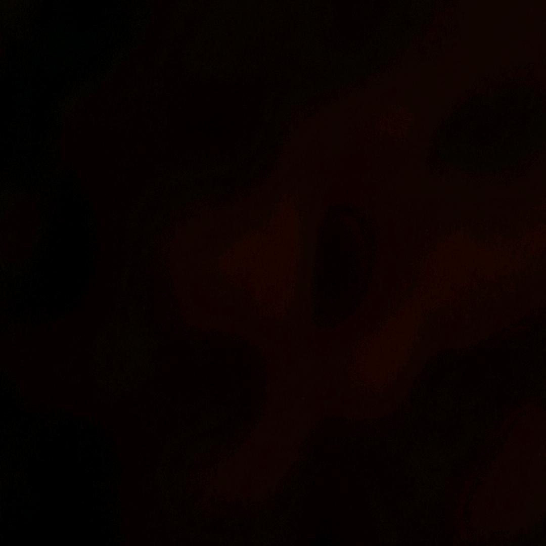 ヽﾐ ´∀｀ﾐノ＜ლ('꒪д꒪')ლ
