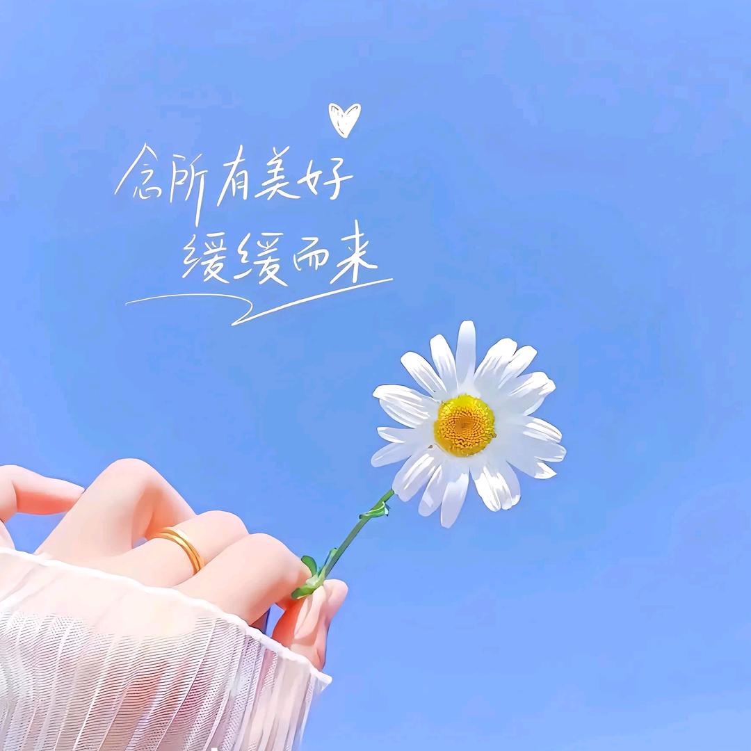 营庭泓