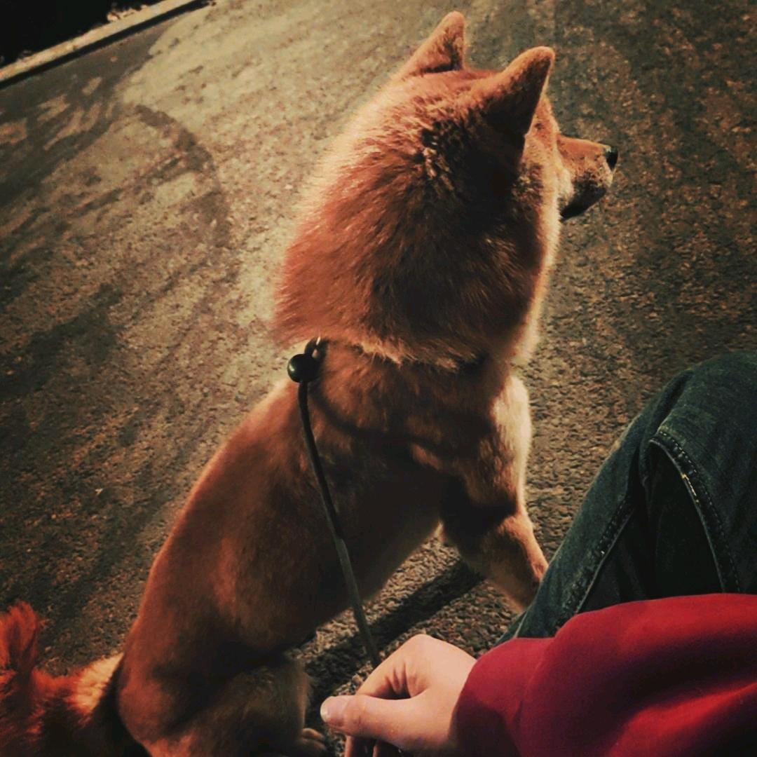 ᭄᭄꧔ꦿ牛逼💋克拉丝ღ᭄