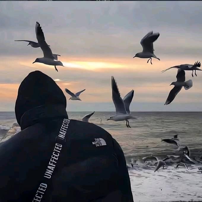 达不刘（昆职版⛪）