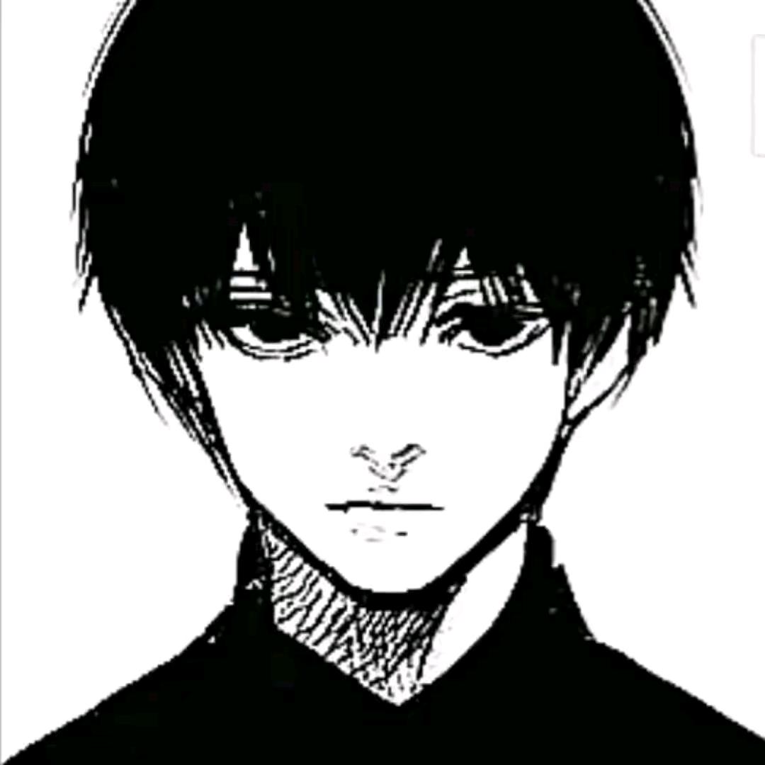 鹤望兰