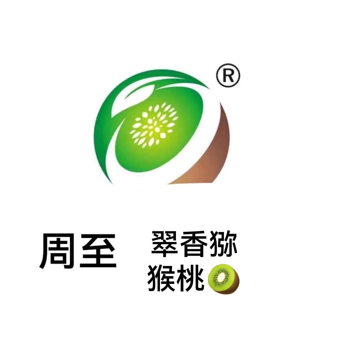 周至翠香猕猴桃🥝6米8高栏