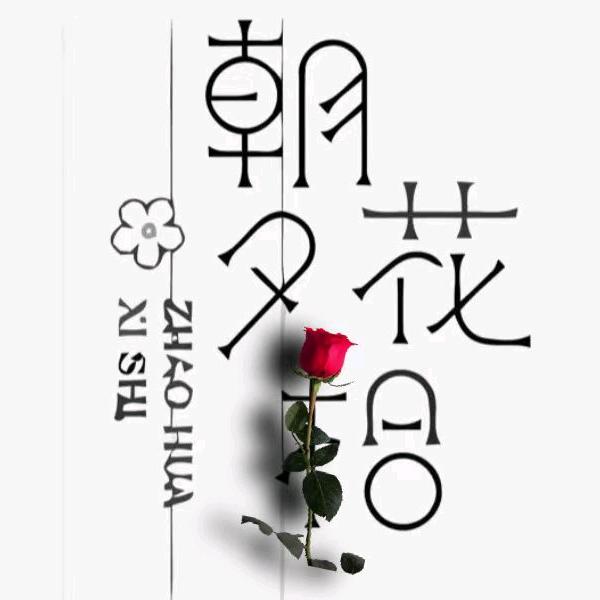 朝花夕拾桂