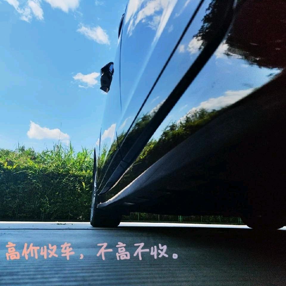 隆的Perfect Cars